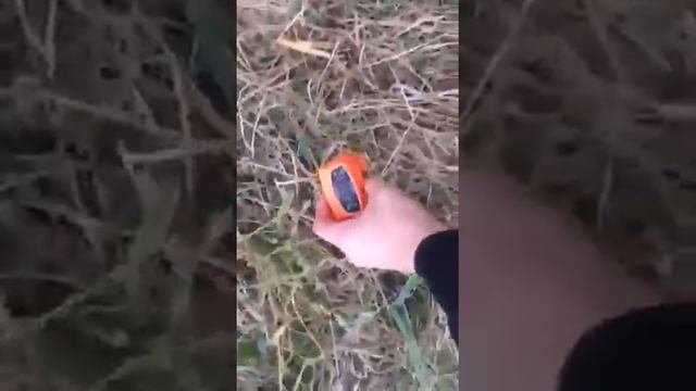 Охота на барсука 2 смотреть онлайн