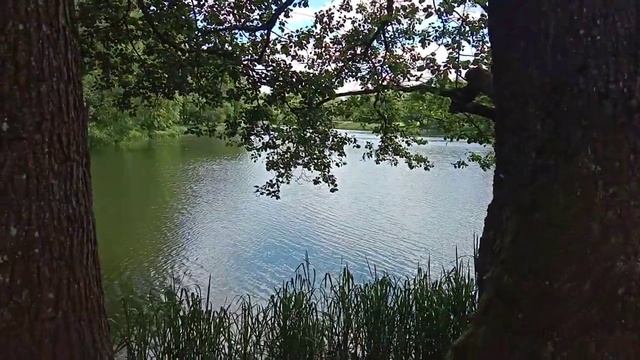 Залесье. Усадьба Огинского смотреть онлайн