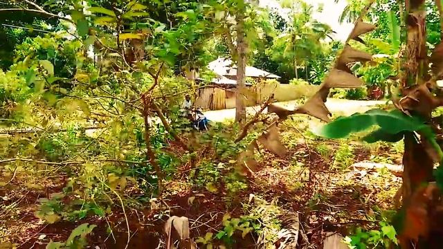 ФИЛИППИНЫ. Как живут в филиппинском селе, глубинка - Отдых и жизнь на Филиппинах