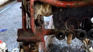 Обрезка копыт коров. ООО БлагоВет.