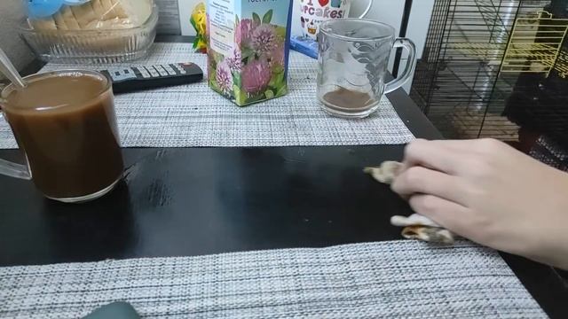 что если смешать чай и кофе? (улучшенная версия) смотреть онлайн