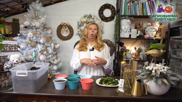 Составляем грунт для зимнего огорода смотреть онлайн