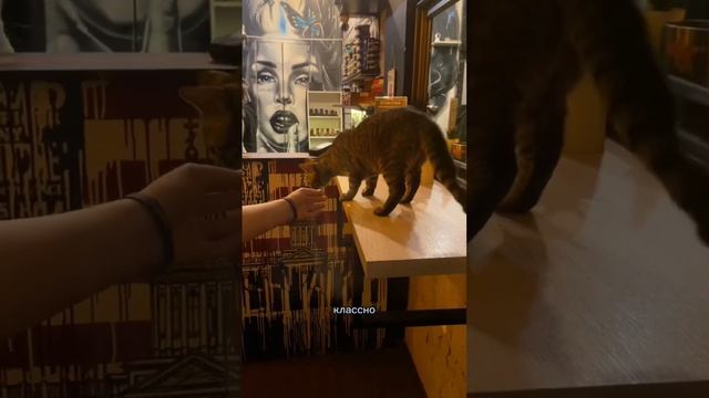 Что-то я зачастила с тревел влогами #игральня #антикафе #кудасходитьспб #спб #питер смотреть онлайн