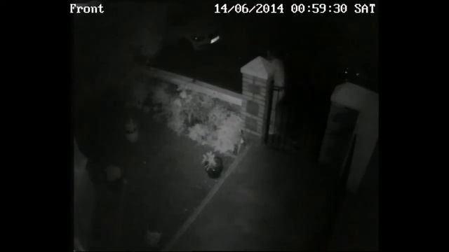 Plant thief stolen thief students plymouth uk смотреть онлайн