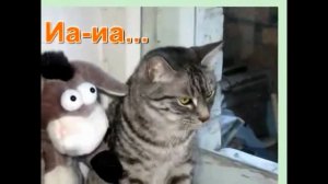 Детская Песня про Ослика. Потешка. Логоритмика. Развитие речи. Раннее развитие малышей. Люляби TV