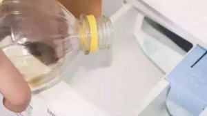 Плесень в стиральной машине. Вот как просто её удалить своими руками