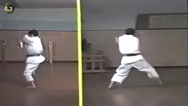 SHOTOKAN Karate - The Nakayama - Kanku Dai Kata And Bunkai (Канку Дай Ката)
