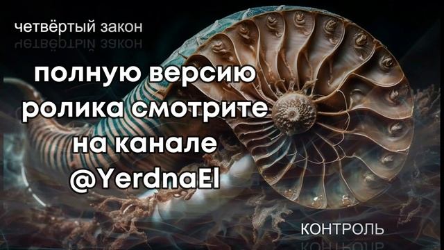 Шесть законов разума  Джон Кехо  13