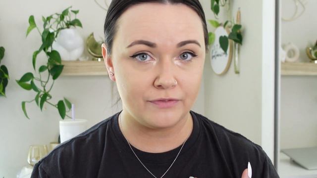 Everything You Need To Know About Air Plants | Complete Tillandsia Care Guide | Houseplant Care