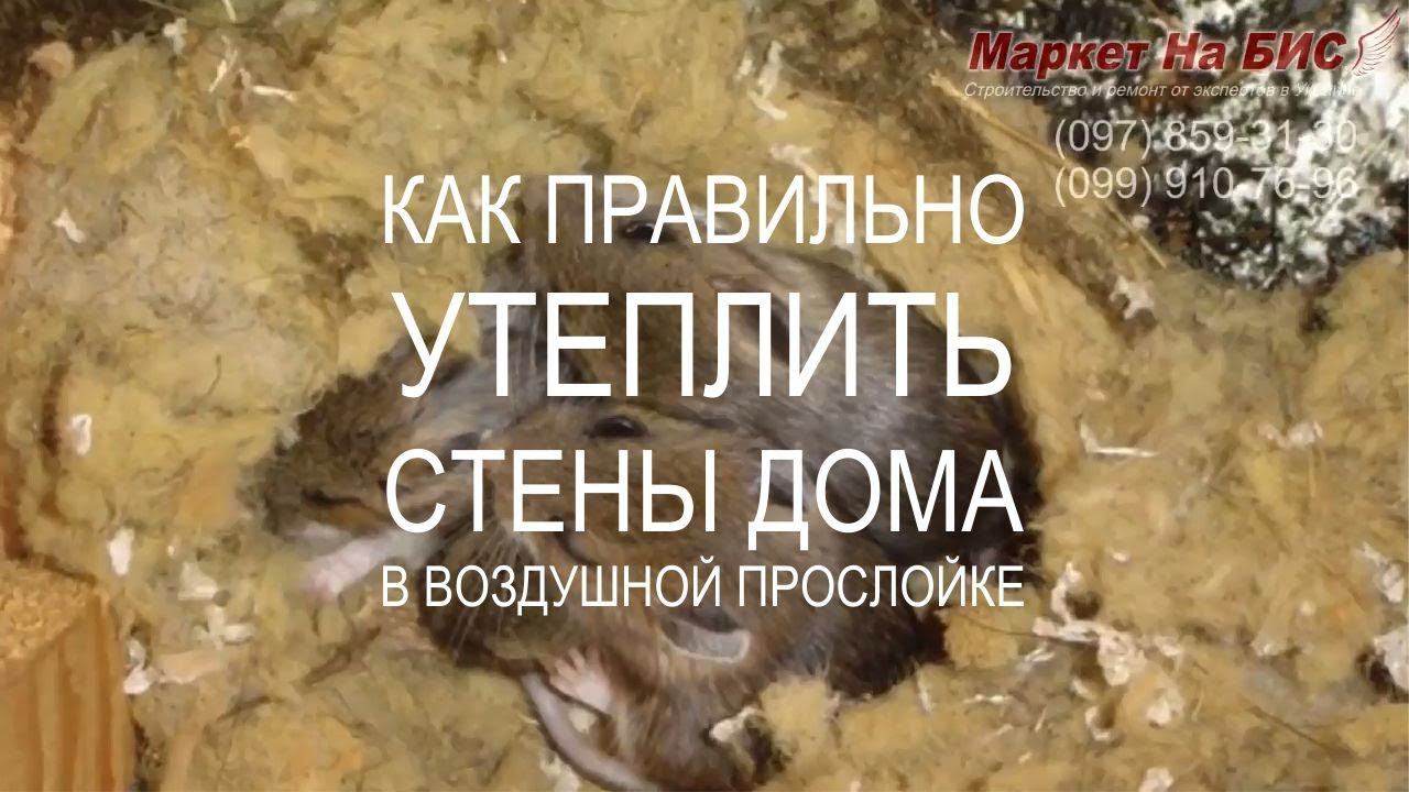 Маркет На БИС - Кривой Рог