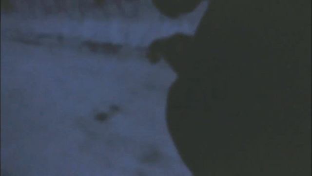 ЕЗДОВЫЕ не только лошади (покатались на собаке) смотреть онлайн