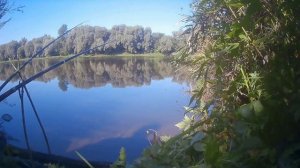рыбалка дон в шилово