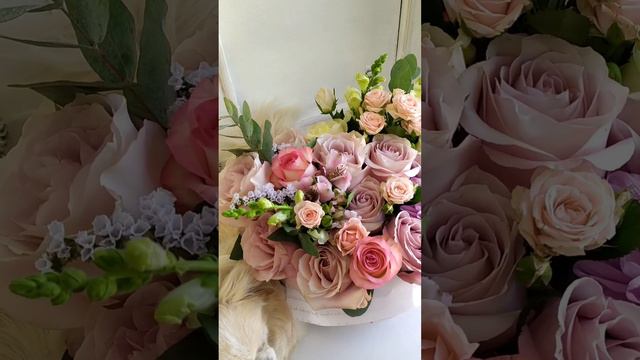 Помощник флориста. Florist assistant. смотреть онлайн
