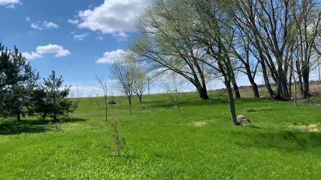 14 мая 2021 г. смотреть онлайн