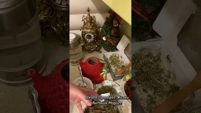 ЧЕРЕМУХА#КАЛИНА#ЧУДО-ЧАЙ ОТ ВСЕХ БОЛЕЗНЕЙ #ТРЕНИРУЕМ МОЗГ#ЕДА ЖИВАЯ И МЕРТВАЯ#ОБУЧАЕМСЯ И ИСЦЕЛЯЕМСЯ смотреть онлайн