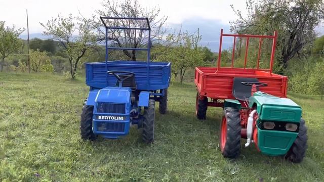 Pasquali sau Bertolini??? 0769924703 смотреть онлайн