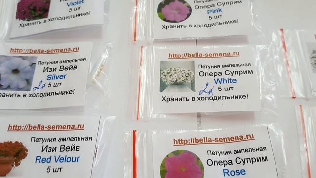 ПРОФСЕМЕНА ПЕТУНИИ! В ЧЁМ ОТЛИЧИЯ? ГДЕ КУПИТЬ? смотреть онлайн
