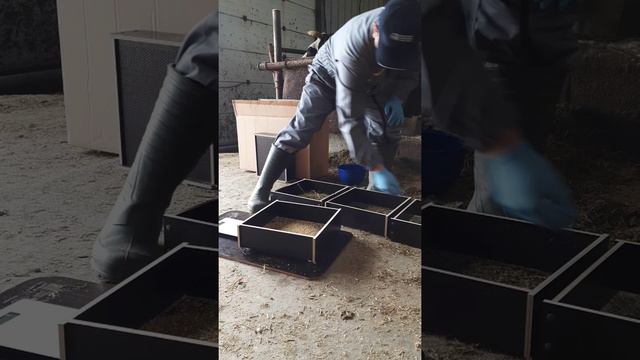 ВсёДляФермы (ИП Смирнов Григорий Михайлович)