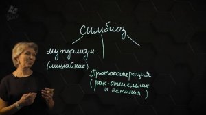 Типы взаимоотношений организмов. 8 класс.