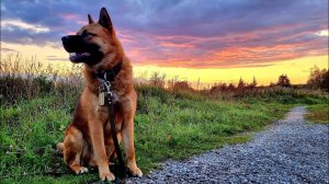 Yoll's добрый stream. Третье сентября!