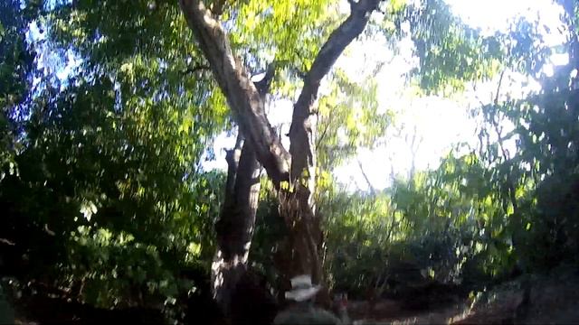 На катамаране по Панамскому заливу смотреть онлайн