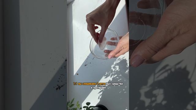 чем отмыть пластиковый подоконник? советы для дома. смотреть онлайн