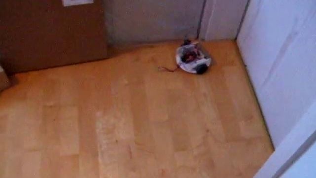 myTSOPer first test смотреть онлайн