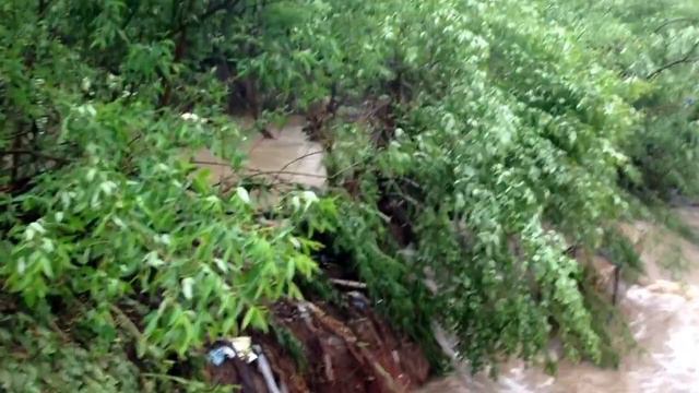 Дедовск 24.05.2013