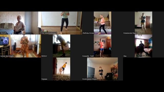 Zoom тренировка карате дома: кихон на стороны, удары ногами смотреть онлайн