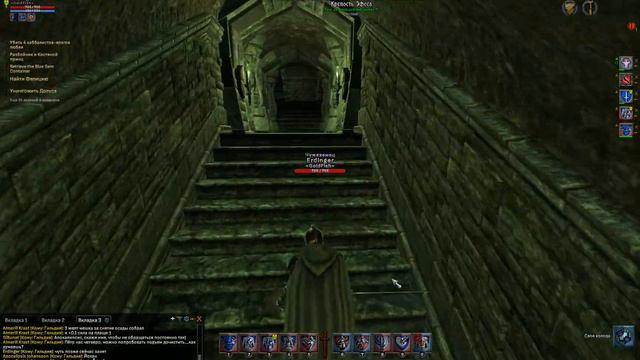 Shroud of the Avatar. Крепость Эфеса (The Hilt Fortress) смотреть онлайн