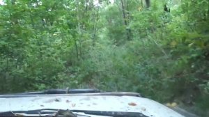 По Приморскому краю на прадо 95