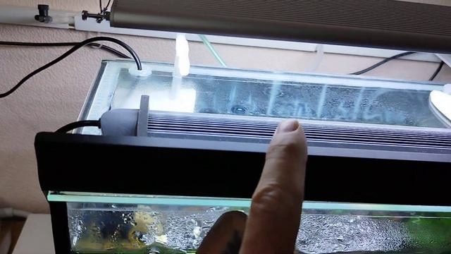 Запуск наноаквариума- 3 месяца.