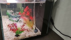 Аквариум Xiaomi Mijia Smart Fish Tank  часть 2 Дополнительный компрессор и управление голосом.