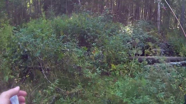 Цель- лесной ручей смотреть онлайн