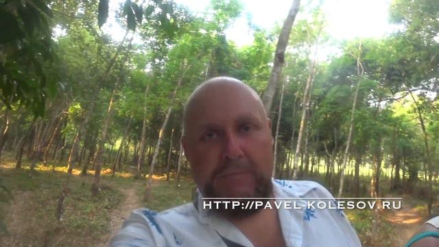 2017 03 26 Вся правда о вашем смысле жизни со слона жестко! смотреть онлайн