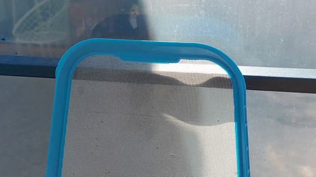 Очистка бассейна мой опыт и мнение!Температура под куполом