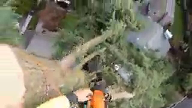 55 Tons of Tree Chopping Fun! First job with Eastside Tree Works New Crane смотреть онлайн