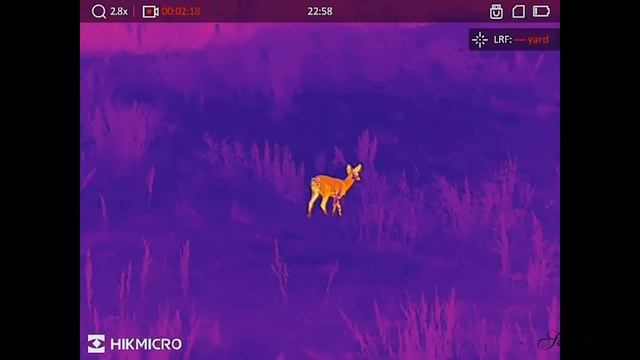 HikMicro Condor LRF CQ50L PRO - Next Level Hand Held Thermal with LRF смотреть онлайн