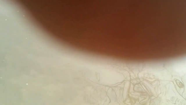 Рыбалка вблизи Ставрополя. Рыбец. смотреть онлайн