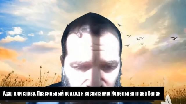 Удар или слово . Правильный подход к воспитанию .Недельная глава Балак смотреть онлайн