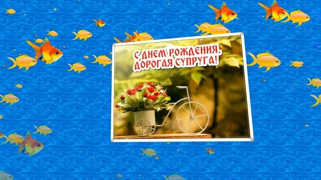 Поздравление Жене с Днем рождения смотреть онлайн