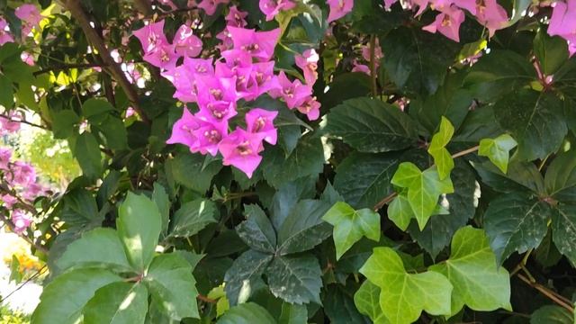 Отдых в КЕМЕРЕ (ТУРЦИЯ) - Необычайная красота??