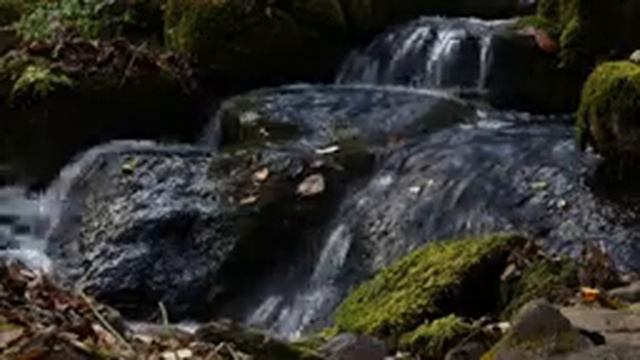 Приморский край - Вблизи водопада Неожиданный [Звуки природы, для сна, расслабления]