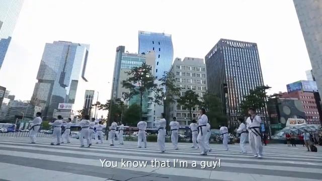 Taekwonstyle (Gangnamstyle M-V Parodia) смотреть онлайн
