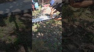 как быстро и недорого построить свинарник своими руками--homemade pigsty:::6:)0)