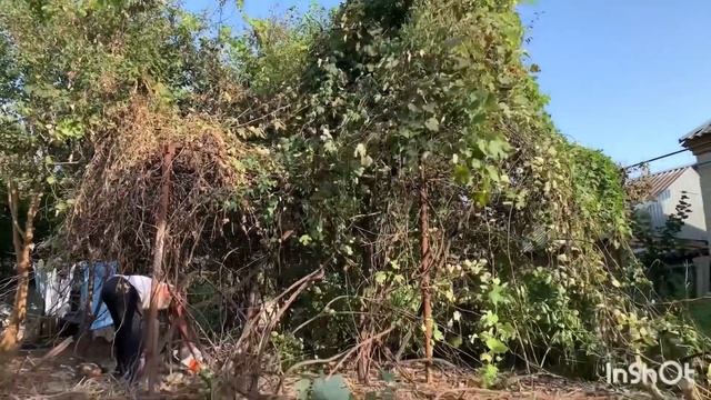 Купили дом на юге—-«спортзал нервно курит?»