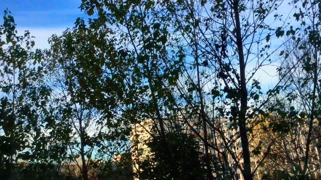 Вот такое прекрасное утро всем доброго и прекрасного утра и дня и отличной погоды смотреть онлайн