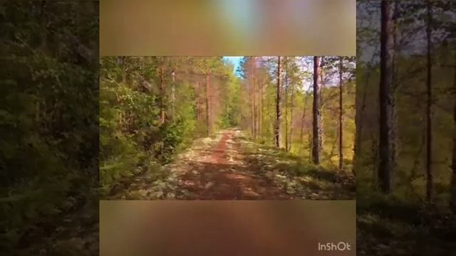 ПЕСНЯ К 100-ЛЕТИЮ КАРЕЛИИ "КАРЕЛОЧКА" АВТОР И ИСПОЛНИТЕЛЬ ПОЛИНА Т. смотреть онлайн