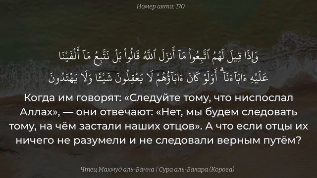 Сура "аль-Бакара" (Корова) | Махмуд Али аль-Банна смотреть онлайн