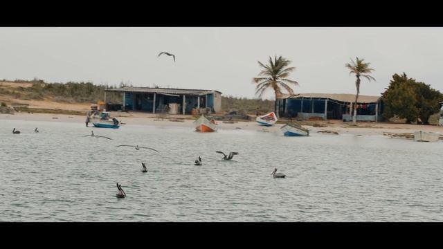 Venezuela | La perla de Latinoamérica смотреть онлайн